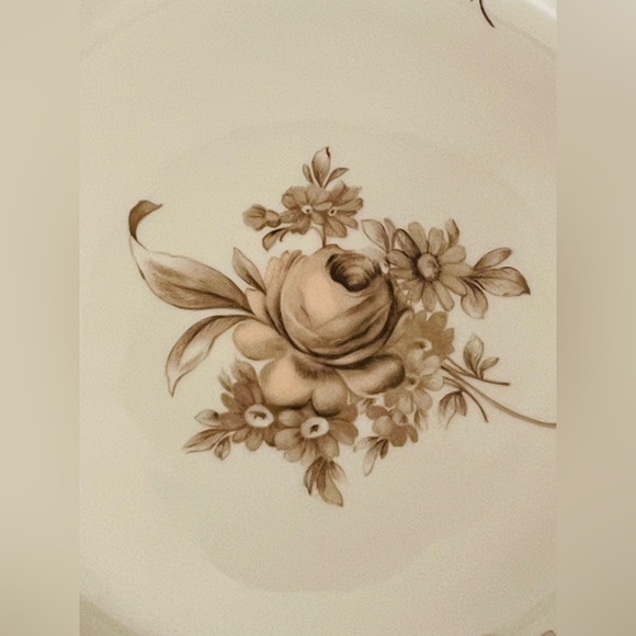 Vintage Johann Haviland Sepia Rose Bavaria Germany 10” Dinner Plates Set of 3 - Picture 4 of 11